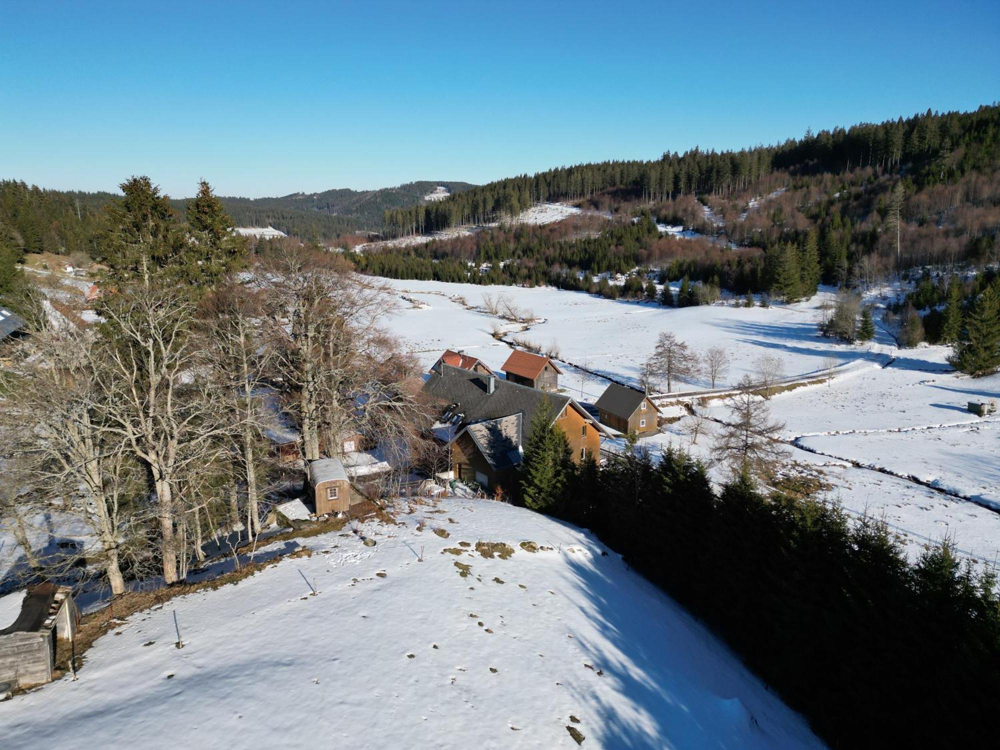 Sporthostel Roessle Schluchsee Bagian luar foto
